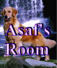 thumbs/ASAF'S~1.png
