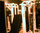 thumbs/24082005_weights_room_006.png