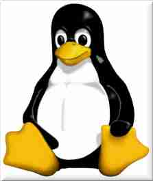 Tux of Linux