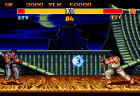 thumbs/ryu.png