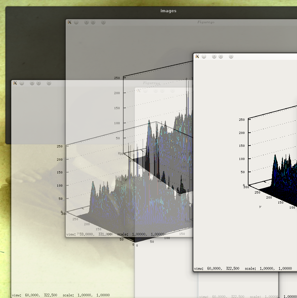 Image gnu-surf