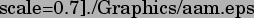 \includegraphics[%%
scale=0.7]{./Graphics/aam.eps}