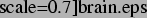 \includegraphics[%%
scale=0.7]{brain.eps}