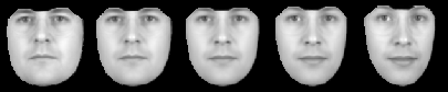 \includegraphics[%
scale=0.4]{EPS/faces_standard.eps}