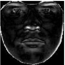 \includegraphics[%
scale=0.37]{EPS/Shuffle_Difference_Image/face_shuffle_3.eps}