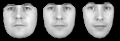\includegraphics[%
scale=0.4]{EPS/face_model_cps_10.eps}