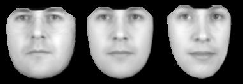 \includegraphics[%
scale=0.4]{EPS/face_model_cps_15.eps}