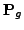 $\mathbf{P}_{g}$