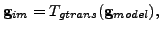 $\displaystyle \mathbf{g}_{im}=T_{gtrans}(\mathbf{g}_{model}),$
