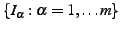 $\{I_{\alpha}:\alpha=1,\ldots m\}$