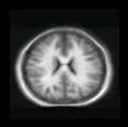 thumbs/MGH_multiple_modes_019.png