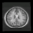 thumbs/MGH_multiple_modes_023.png