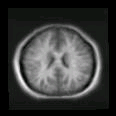 thumbs/MGH_024.png