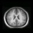 thumbs/MGH_027.png