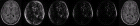 thumbs/shuffle-brain-vector-no-shadow.png