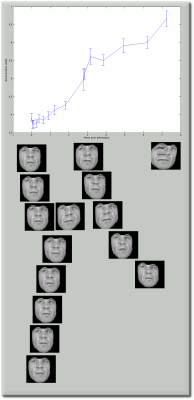 research image