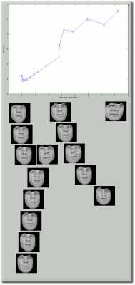 research image