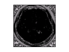 thumbs/smoothed_filter_5_histogram_based_distance_64_bins.png