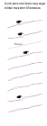 thumbs/090504.png