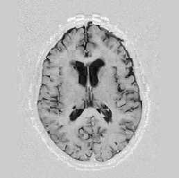 \includegraphics[scale=0.63]{/home/roy/Thesis/Graphics/5-3}
