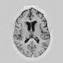 \includegraphics[scale=0.63]{/home/roy/Thesis/Graphics/5-6}