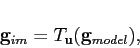\begin{displaymath}
\mathbf{g}_{im}=T_{\mathbf{u}}(\mathbf{g}_{model}),\end{displaymath}