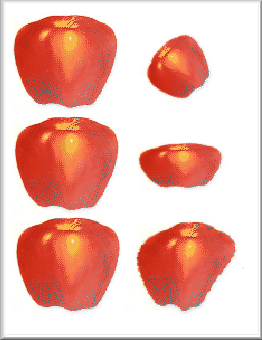 \includegraphics[scale=0.7]{Graphics/reg}