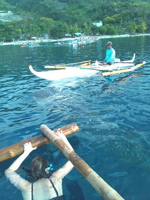 IMG 20170517 074106