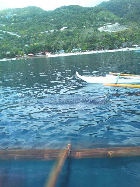 IMG 20170517 074253
