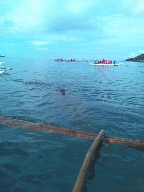 IMG 20170517 075759