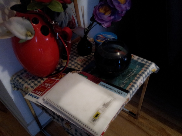 later morning1