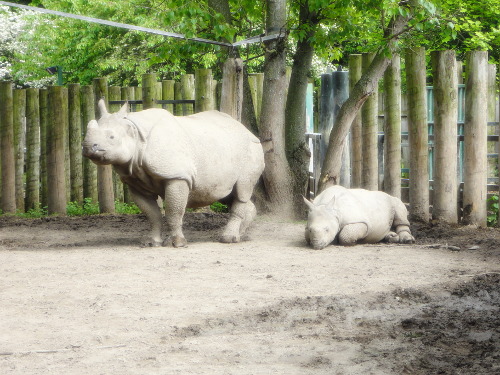 zoo-42