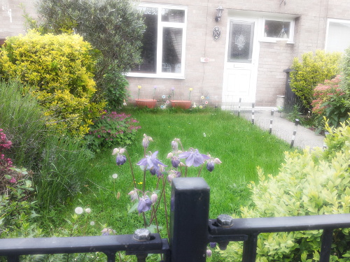 summer-26