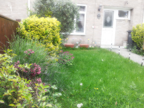 summer-29