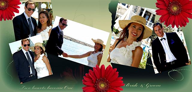 Design 659 origj