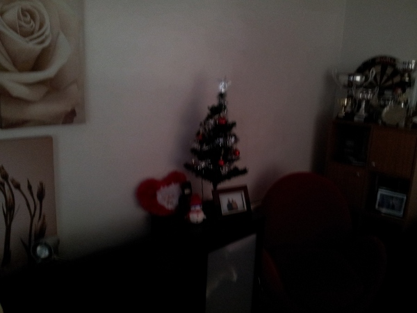 house xmas themed 1