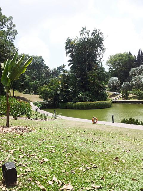 botanic 16