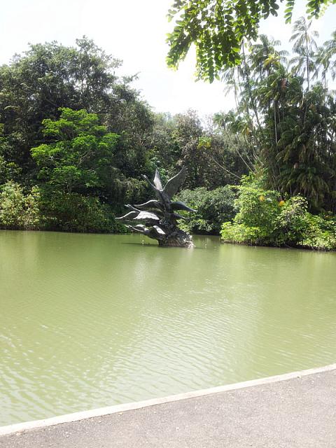 botanic 33