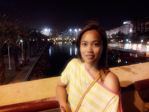 bridge1