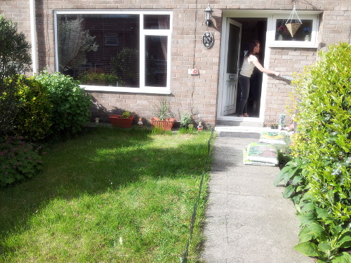 garden-7