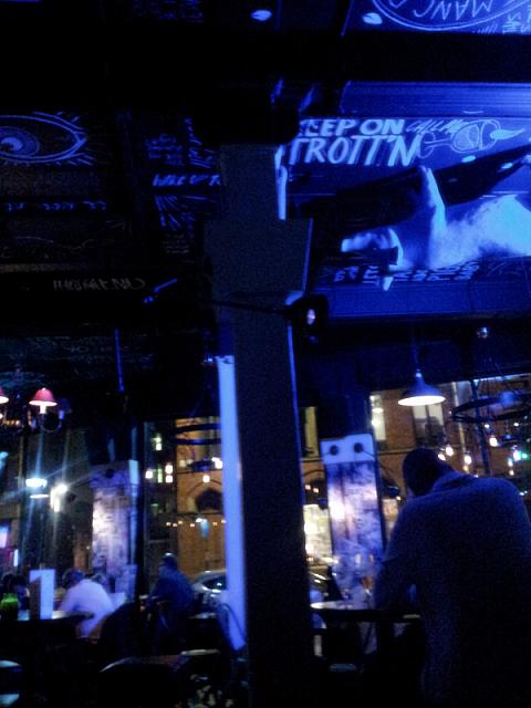 the-blue-pig-5