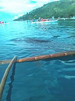 IMG 20170517 075757