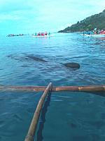 IMG 20170517 075757 1