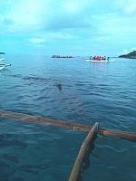 IMG 20170517 075759