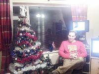 xmas-tree-home-7