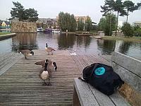 Boat Canal Picnic