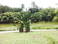 botanic 12