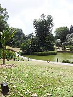botanic 16