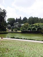 botanic 17