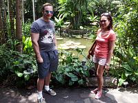 botanic 20